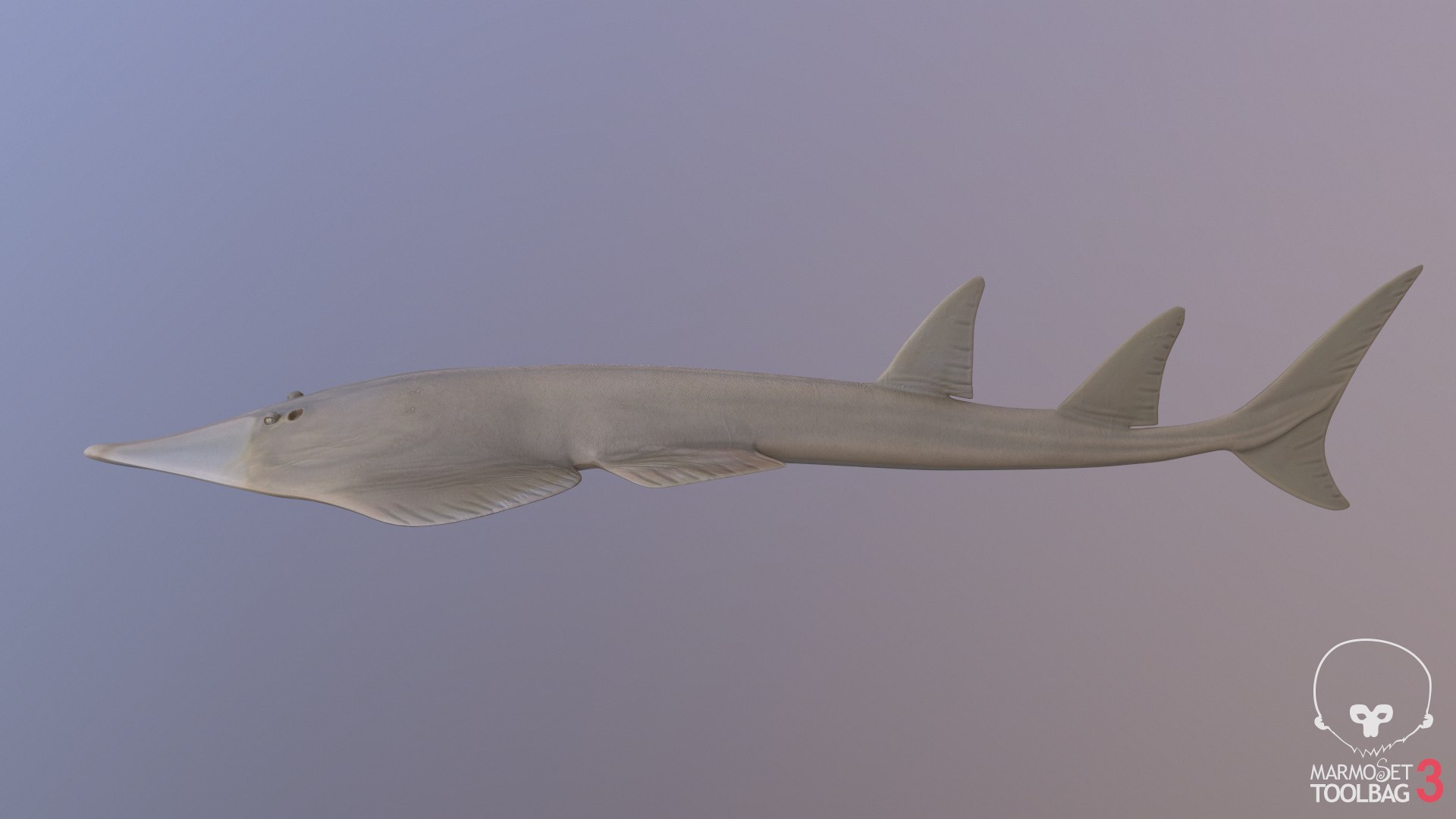 Giant Shovelnose 3D Model - TurboSquid 1456607