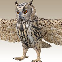 Great Horned Owl Rigged