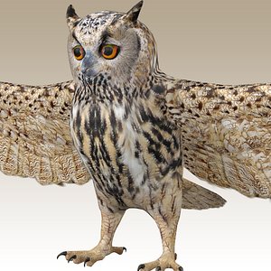 Great Horned Owl Rigged