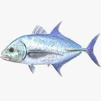 Bluefin Trevally