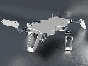 Hexapod Robot