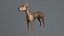 Hund 3D