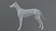 Hund 3D