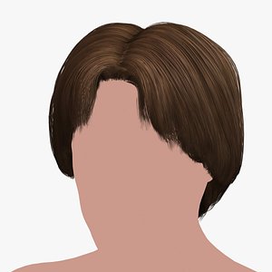 hairstyle 24 hair 3D model