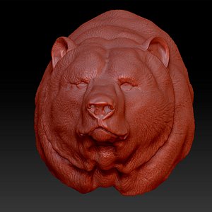bear animal 3D model