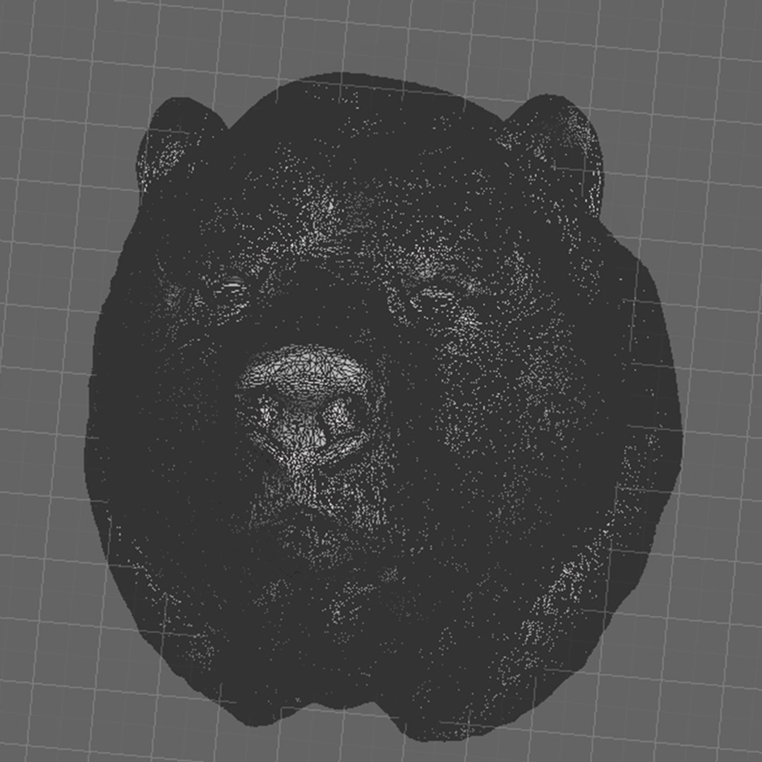 Bear Animal 3D Model TurboSquid 1689216