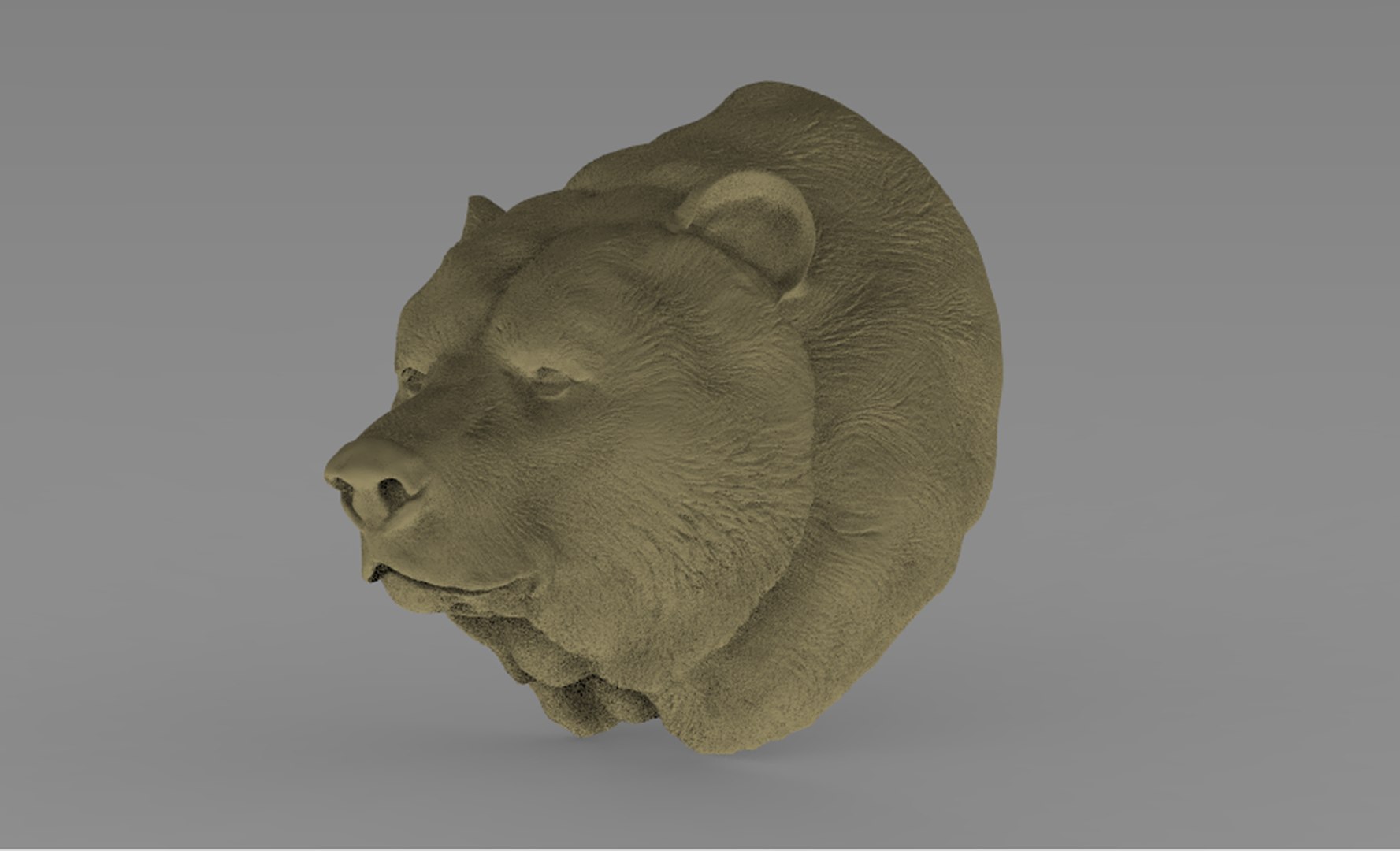 Bear Animal 3D Model TurboSquid 1689216