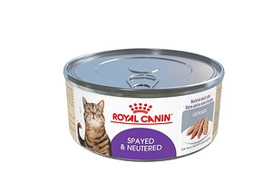 feline cat food model