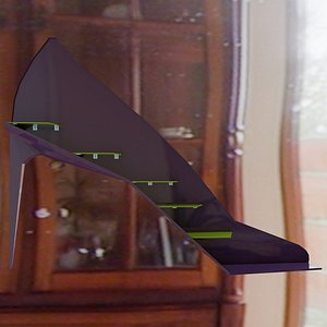 Bookshelves women s shoe 3D