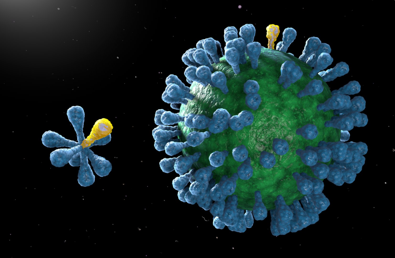 3D model swine virus https://p.turbosquid.com/ts-thumb/wV/rNvedB/5PIT34y0/screenshot20190829at5.50.22pm/png/1567121357/1920x1080/fit_q87/b2692f43830c319bf14a60c25559f5cd19beb539/screenshot20190829at5.50.22pm.jpg