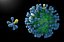 virus