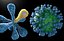 virus