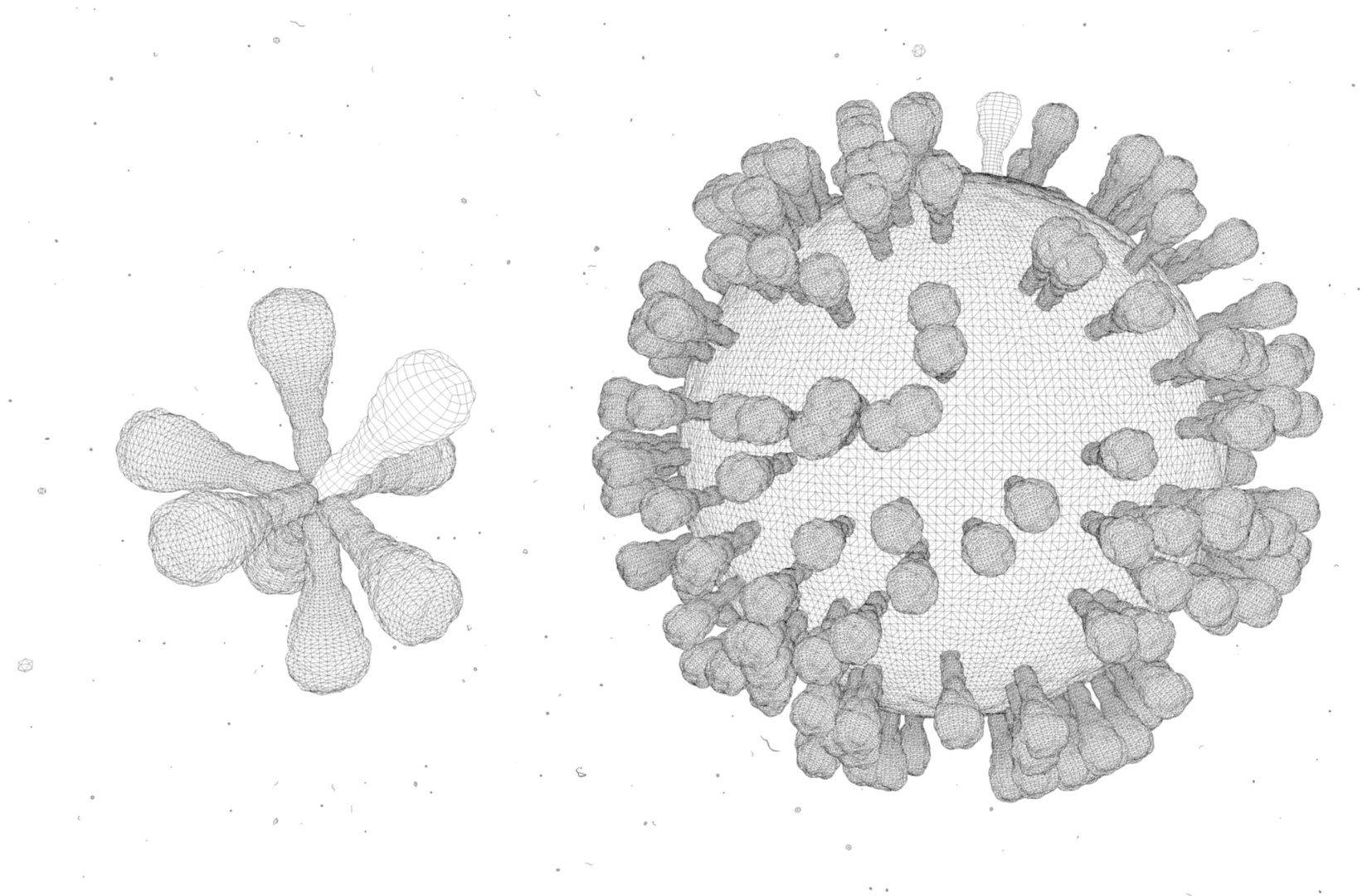 3D model swine virus https://p.turbosquid.com/ts-thumb/wV/rNvedB/h5S48UNR/screenshot20190829at5.54.48pm/png/1567121356/1920x1080/fit_q87/ff95a6f75604574892c270ea5397be9e8fdbe7a3/screenshot20190829at5.54.48pm.jpg