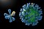 virus