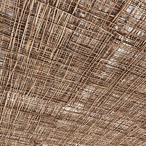 ceiling branch model