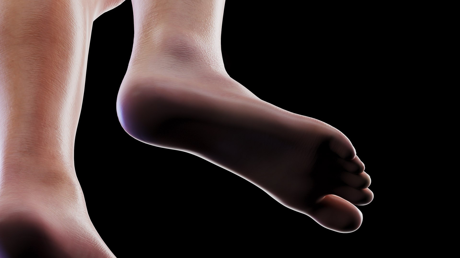 Human Male Body and Skeletal Systems model https://p.turbosquid.com/ts-thumb/wV/vSJuQ4/3L/male_anatomy_body_12/jpg/1673686563/1920x1080/fit_q87/4eeca69cd00c03a81406350e95d2f7af927a54c4/male_anatomy_body_12.jpg