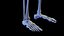 Human Male Body and Skeletal Systems