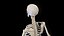 Human Male Body and Skeletal Systems