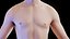 Human Male Body and Skeletal Systems