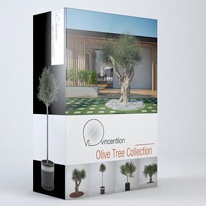 Olive Tree Collection