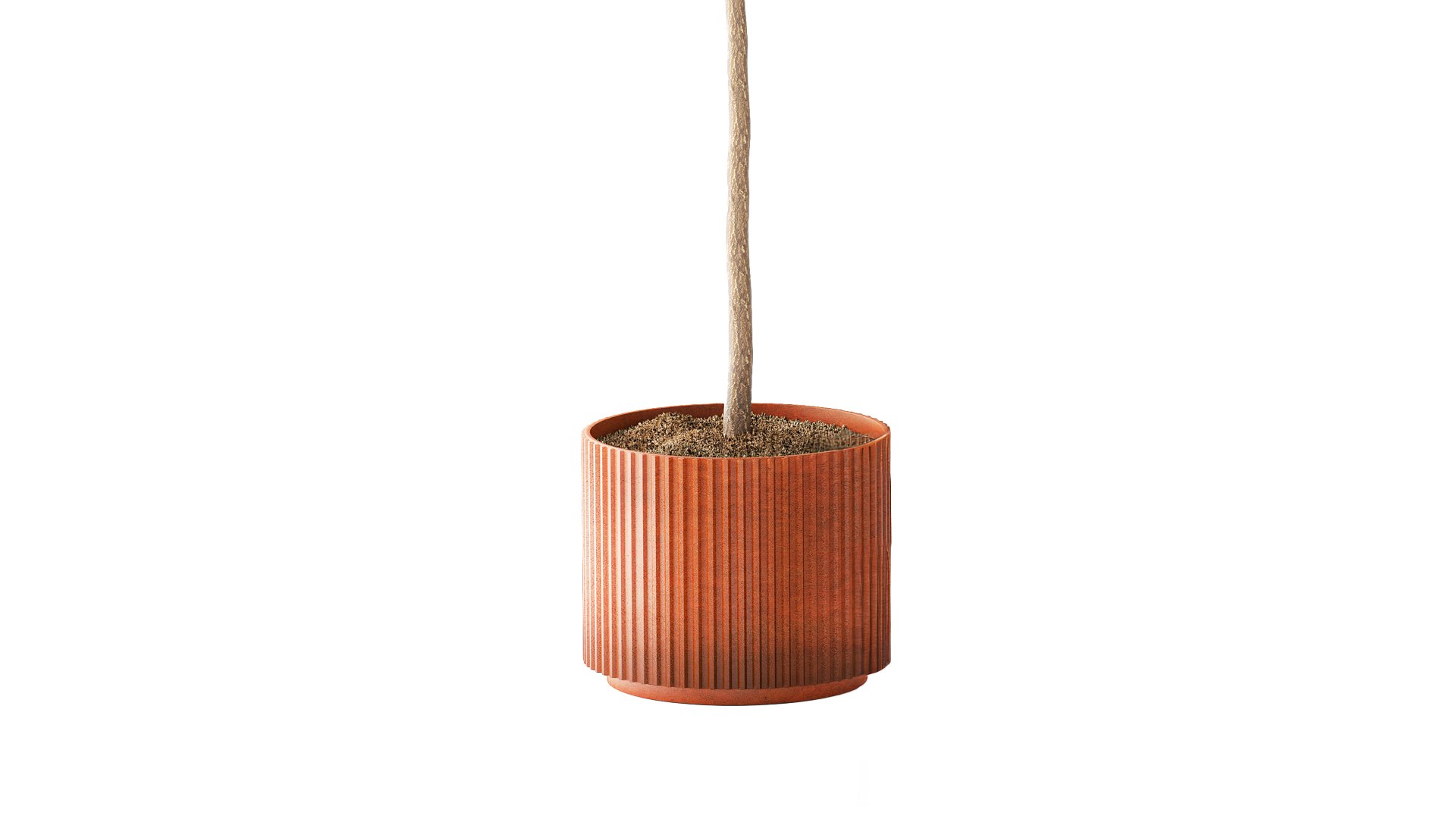 3D Ficus topiary 2810 3D MAX 2018 https://p.turbosquid.com/ts-thumb/wW/5HR7zE/FD/ficustopiary281005/jpg/1793207913/1920x1080/fit_q87/5b7b9c01c70075a532df66d3d6b05f62e2af0125/ficustopiary281005.jpg