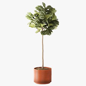 Ficus topiary 2810 3D MAX 2018