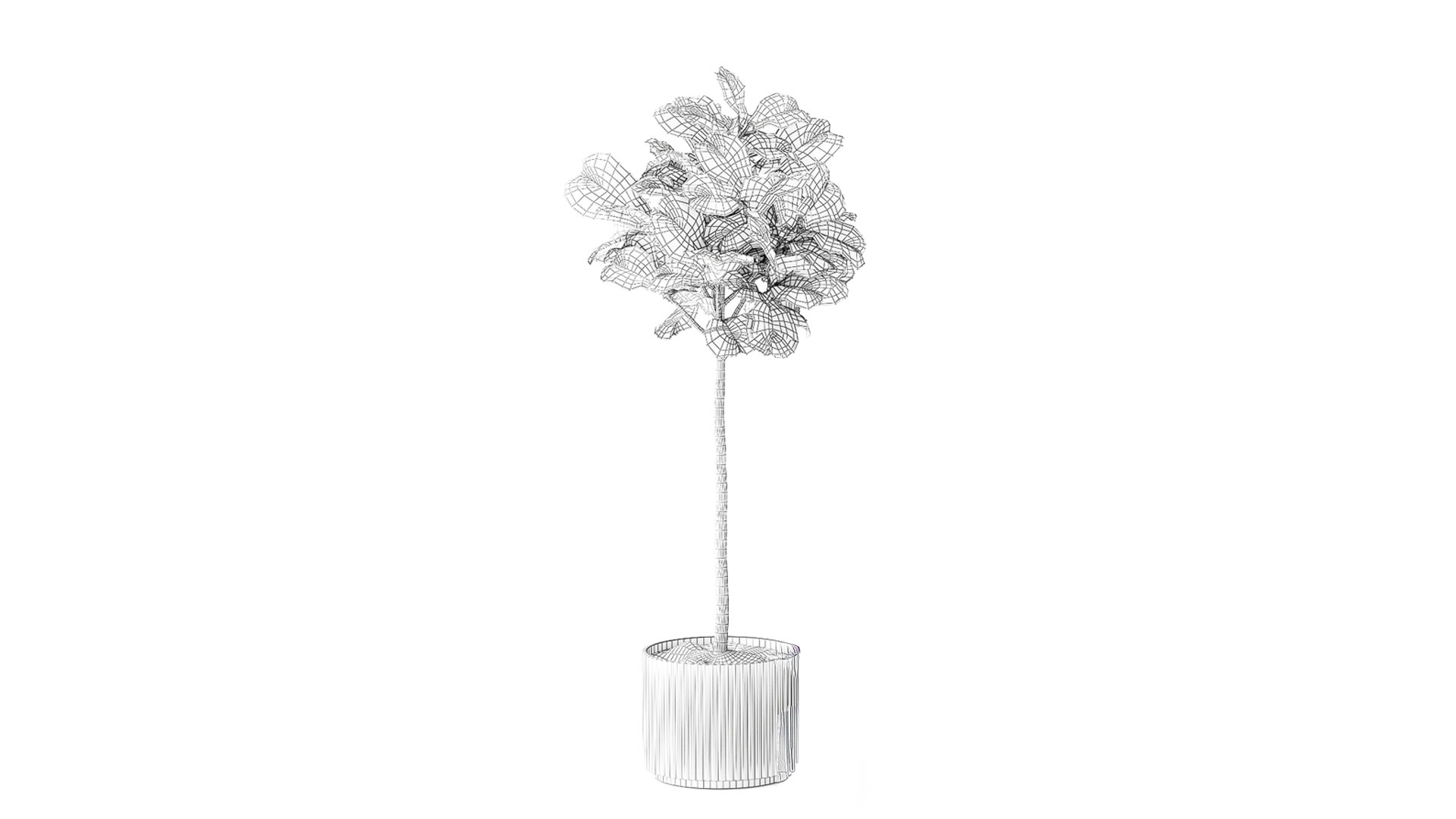 3D Ficus topiary 2810 3D MAX 2018 https://p.turbosquid.com/ts-thumb/wW/5HR7zE/gz/ficustopiary281009/jpg/1793207913/1920x1080/fit_q87/1be8832aa6d8cefcfb8bd548e9c3be6e15798ab9/ficustopiary281009.jpg