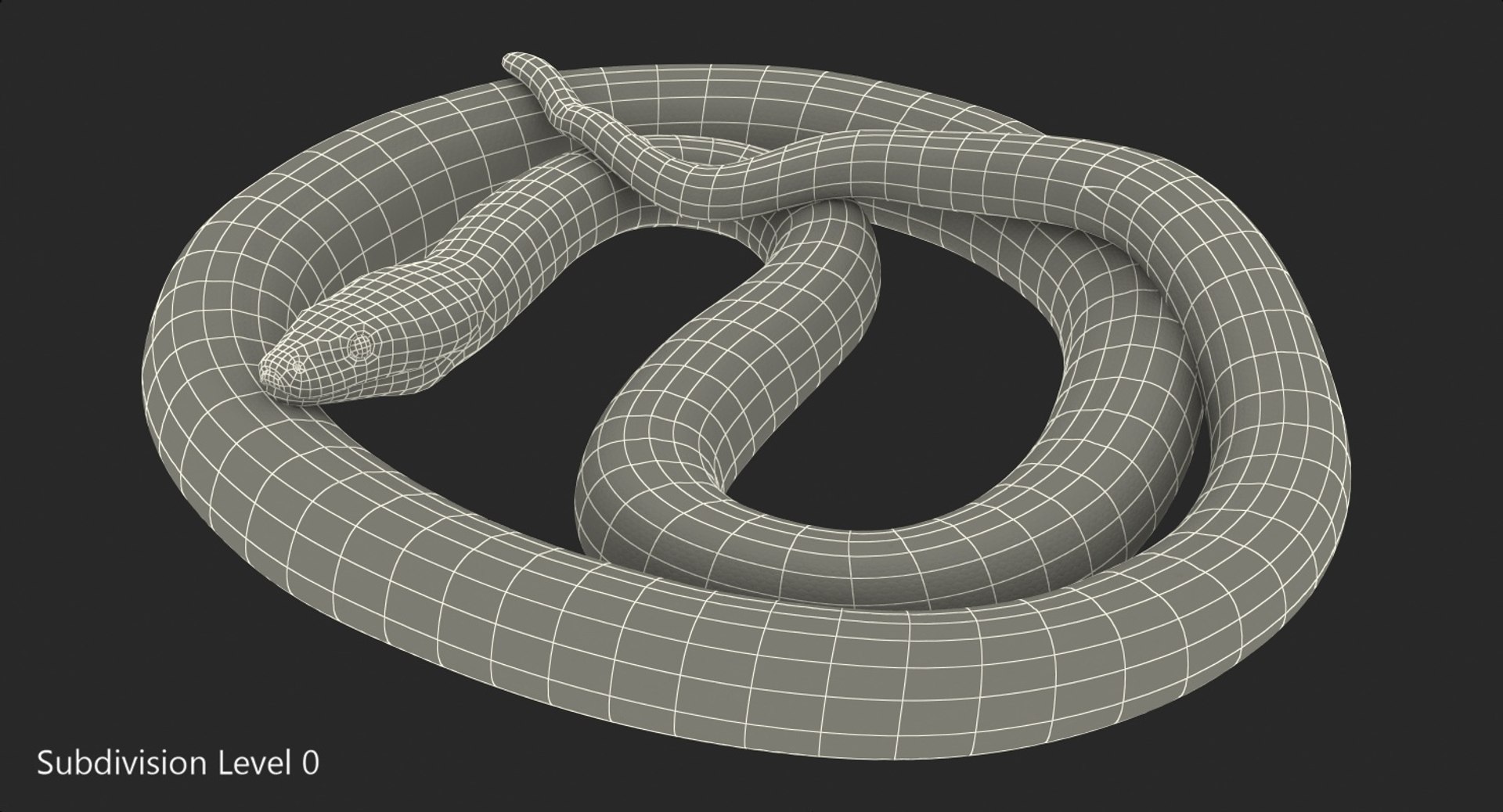 3D brown python snake curled model https://p.turbosquid.com/ts-thumb/wW/InOk74/Kbinj8AZ/brownpythonsnakecurledposec4dmodel013/jpg/1558816325/1920x1080/fit_q87/02e11c4e92adf0e614c197f83e2b855bd5636a8c/brownpythonsnakecurledposec4dmodel013.jpg