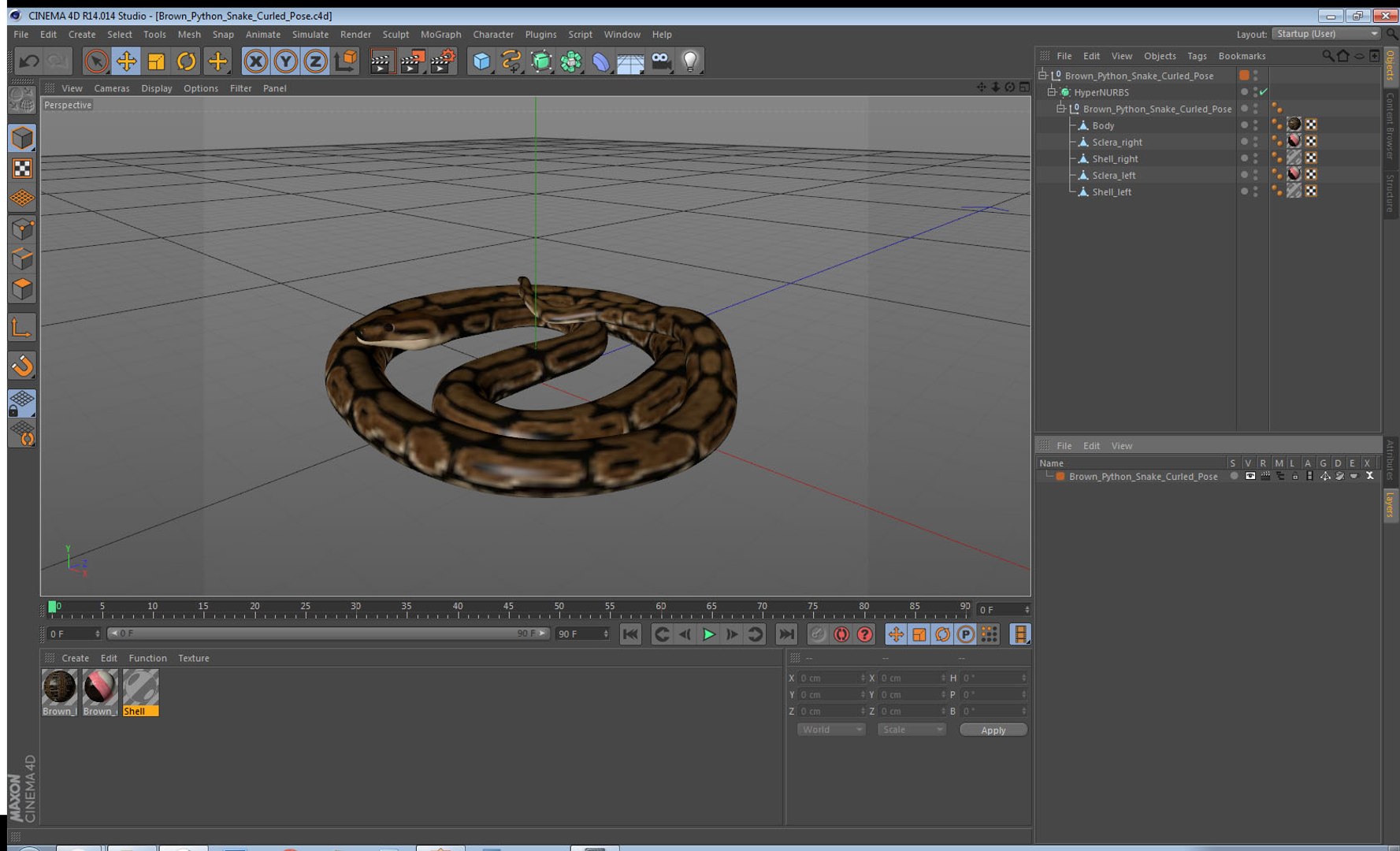 3D brown python snake curled model https://p.turbosquid.com/ts-thumb/wW/InOk74/t0Twm8P4/brownpythonsnakecurledposec4dmodel018/jpg/1558816341/1920x1080/fit_q87/f05028e08db9a6e8d7d4086a5fd93c64f1d75dc6/brownpythonsnakecurledposec4dmodel018.jpg