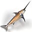 Swordfish