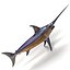 Swordfish