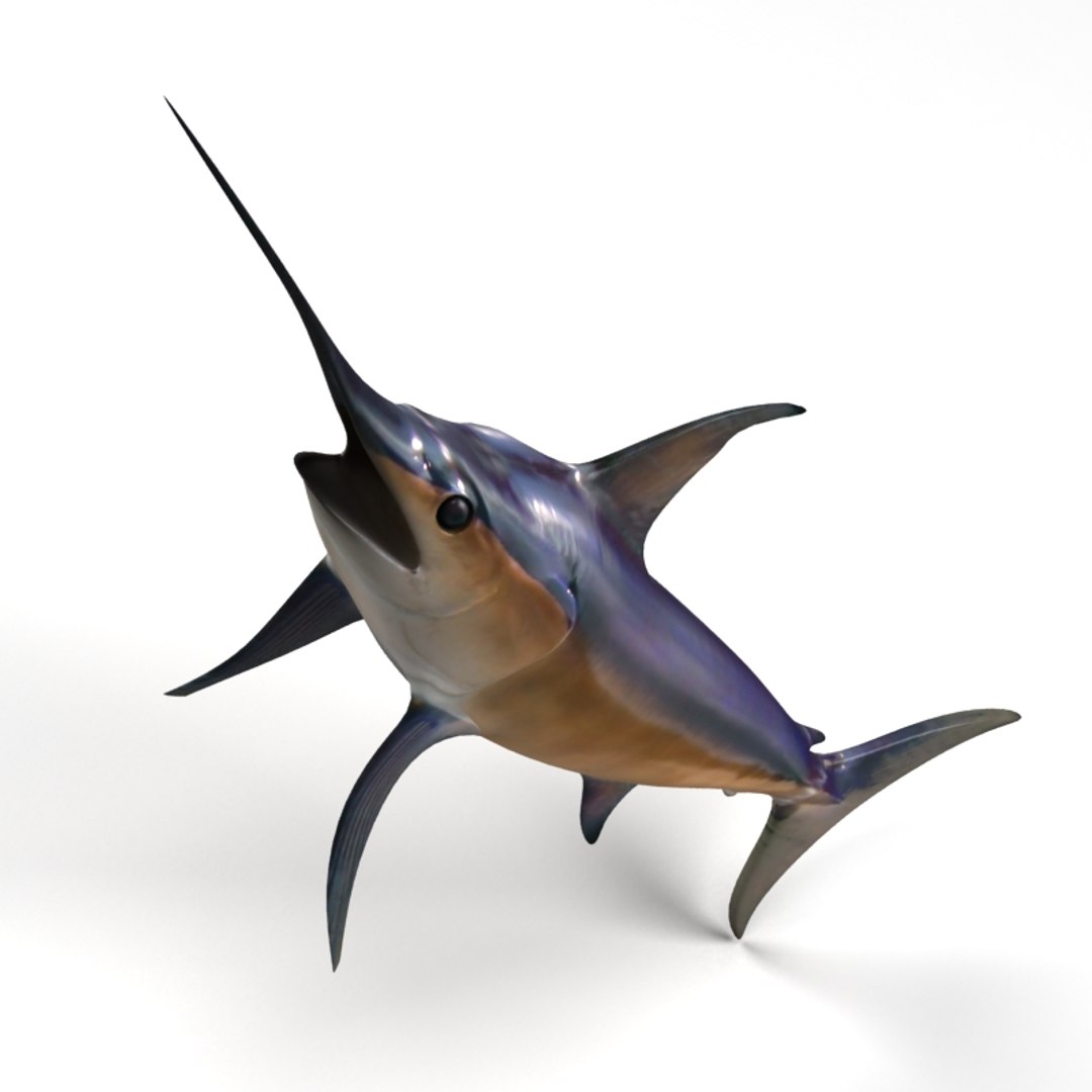 3ds max swordfish fish https://p.turbosquid.com/ts-thumb/wW/LCq2g8/qQrEkoOq/04/jpg/1398002274/1920x1080/fit_q87/5a8e2caad595683d7fb367a80102ca48529d444b/04.jpg