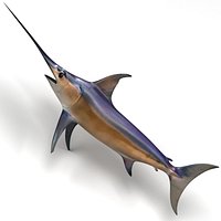 Swordfish
