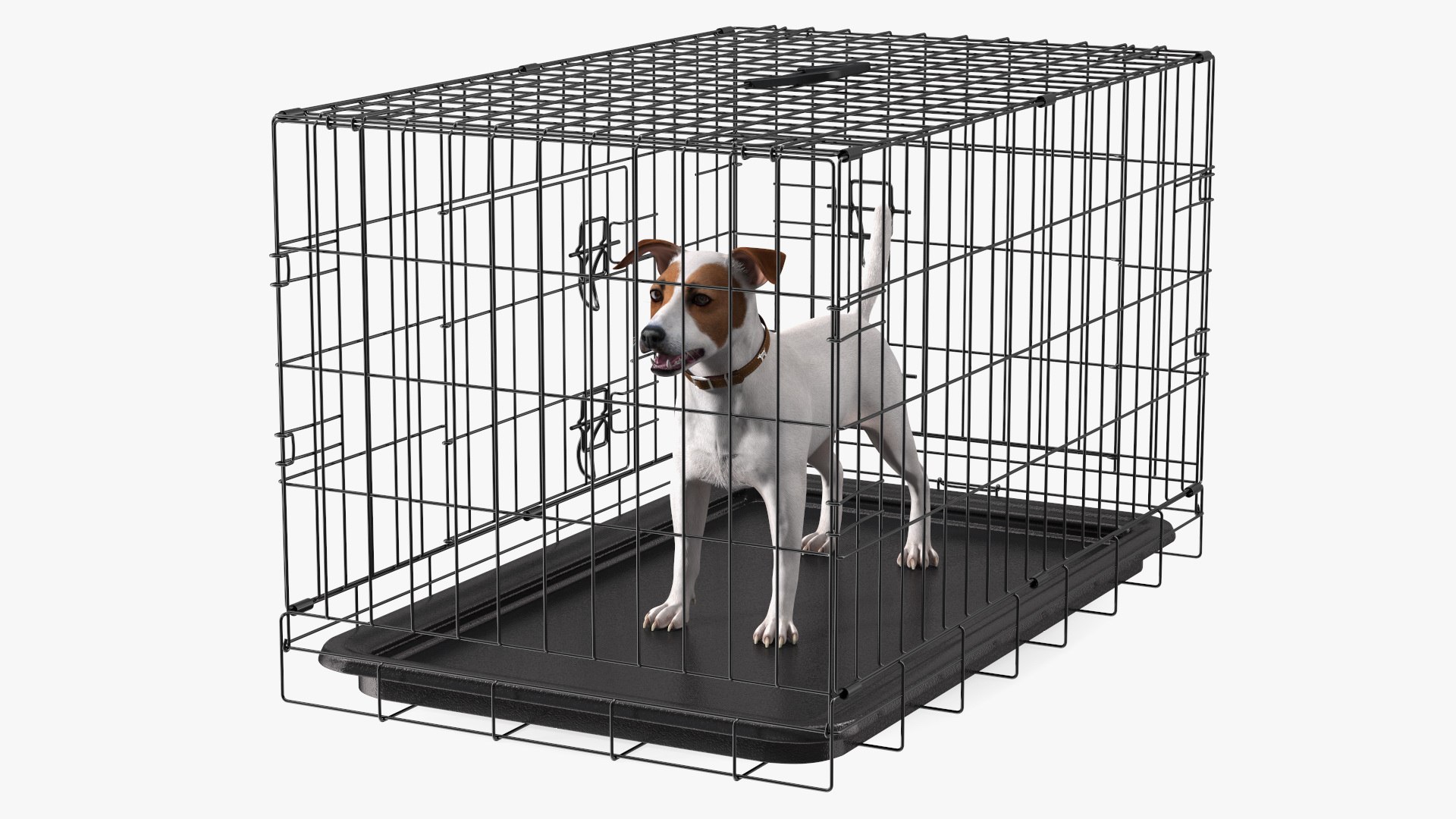 Kennel Cage with Jack Russell Terrier Fur Coat 3D model for industrial visualization, technical presentation, simulation, product rendering, and animation