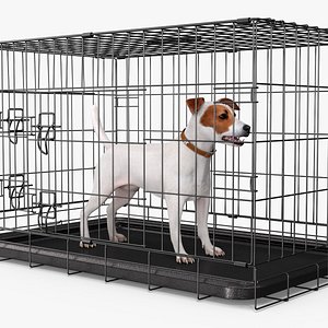 Kennel Cage with Jack Russell Terrier Fur Coat