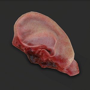 3D ear severed model