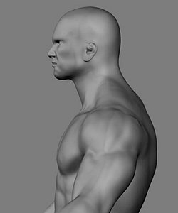 Athletic male + normal maps