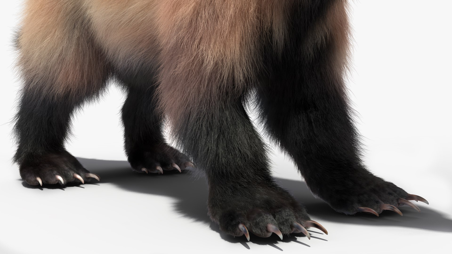 Wolverine Light Color Fur Model - TurboSquid 2156957