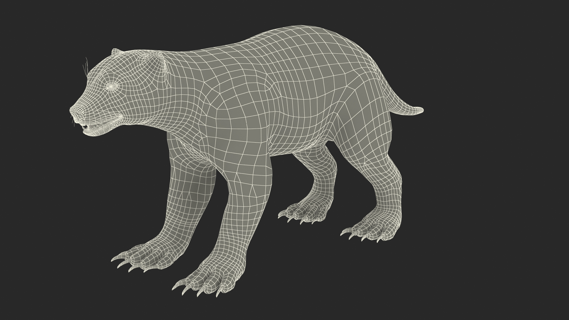 Wolverine Light Color Fur Model - TurboSquid 2156957