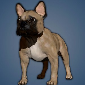 french bulldog 3D model