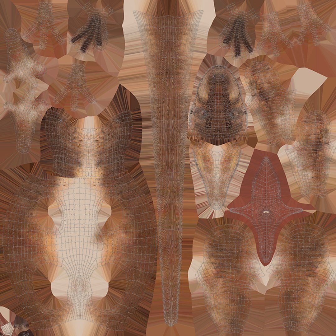 Velociraptor Model - TurboSquid 1785880