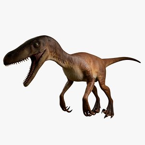 Velociraptor model