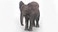Baby Elephant Rigged for Cinema 4D