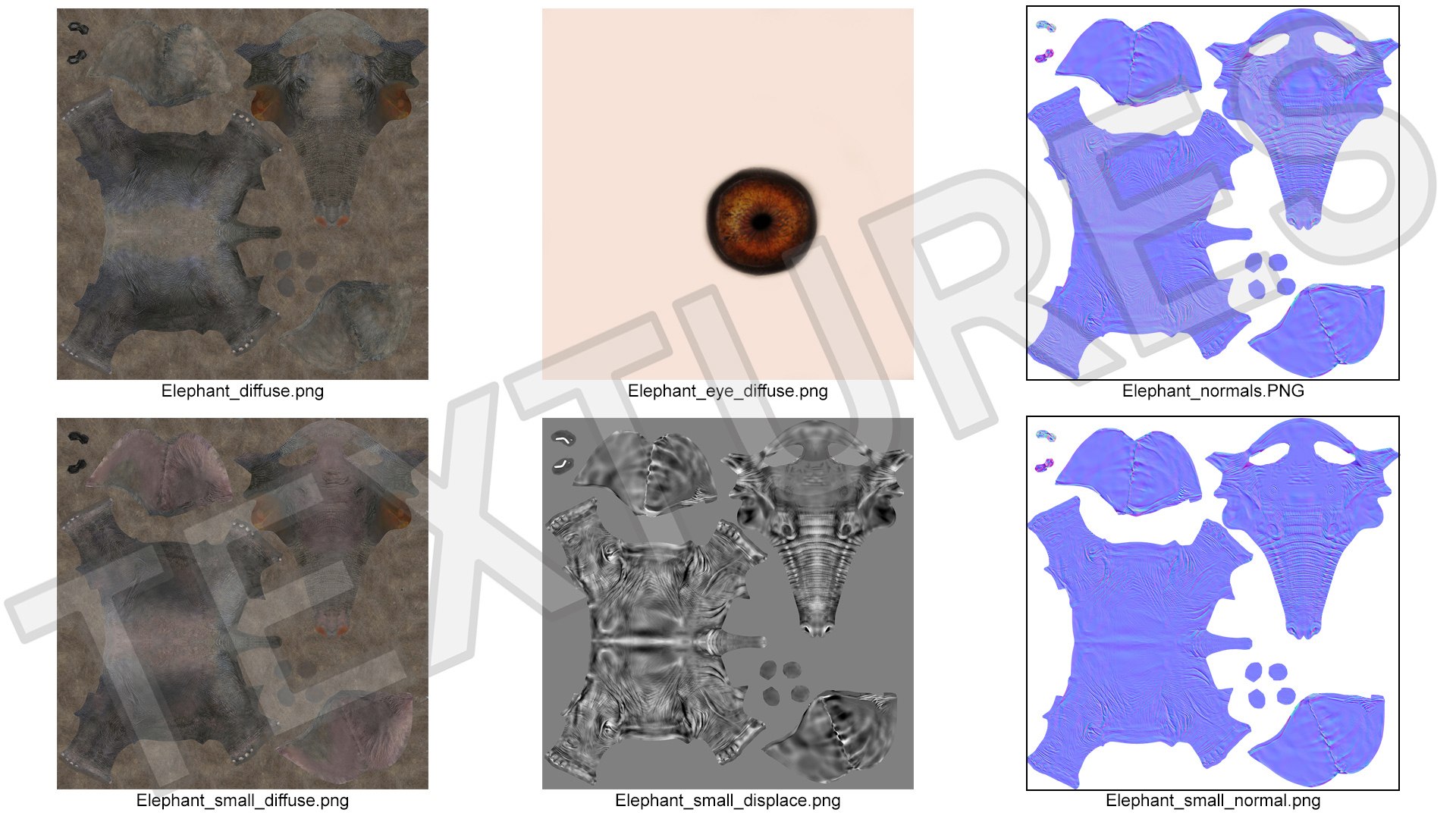 Baby Elephant Rigged for Cinema 4D 3D model https://p.turbosquid.com/ts-thumb/wX/DeAfTV/AA/baby_elephant_rigged_023/jpg/1737954006/1920x1080/fit_q87/1230994856d631b374e021d67d72f1463c883a40/baby_elephant_rigged_023.jpg