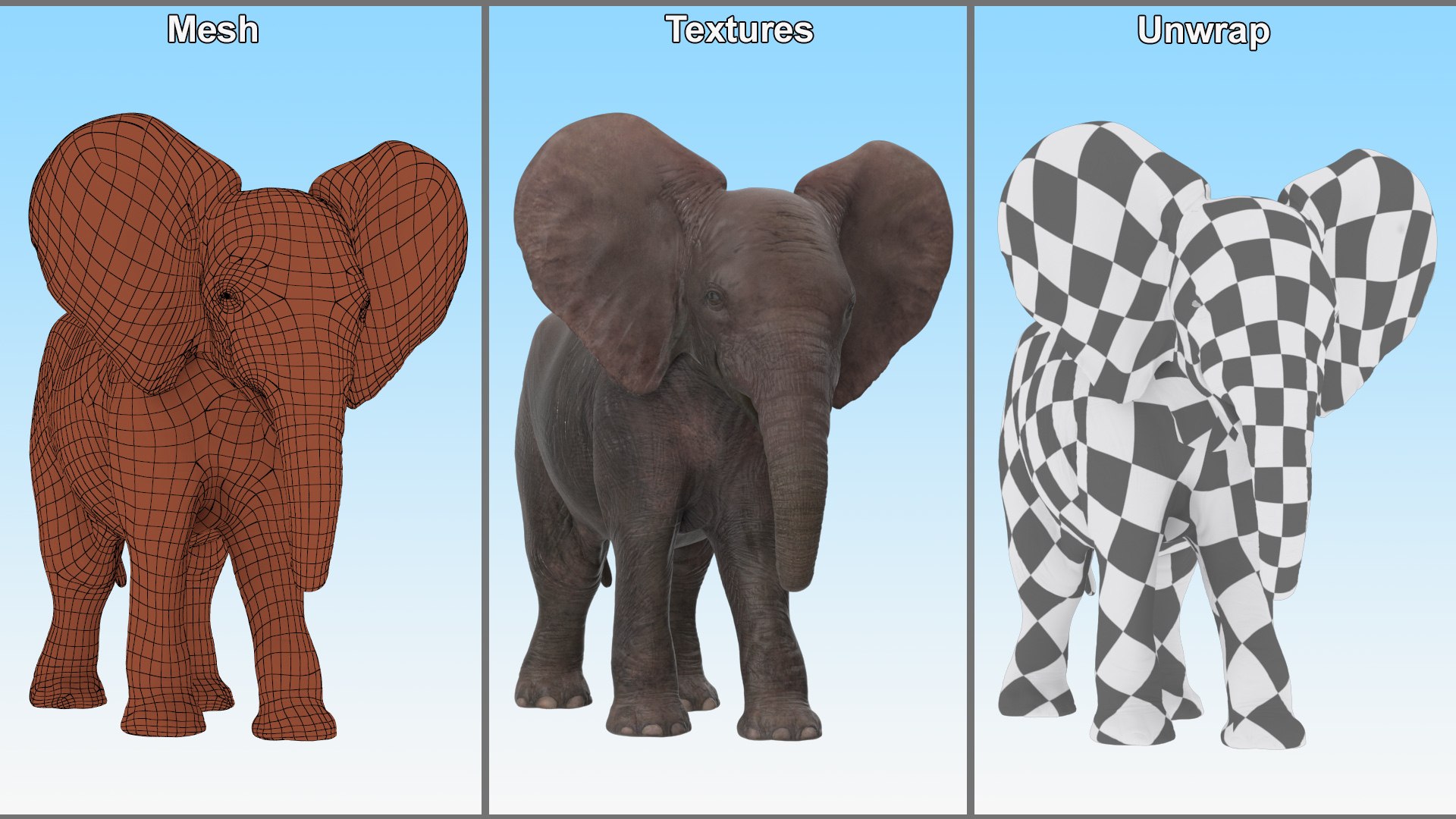 Baby Elephant Rigged for Cinema 4D 3D model https://p.turbosquid.com/ts-thumb/wX/DeAfTV/MZ/baby_elephant_rigged_019/jpg/1737953989/1920x1080/fit_q87/37ef293d1f39f7d8d7fbbe79075d670bd9dbcae3/baby_elephant_rigged_019.jpg