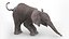 Baby Elephant Rigged for Cinema 4D