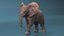 Baby Elephant Rigged for Cinema 4D