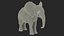 Baby Elephant Rigged for Cinema 4D