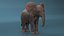 Baby Elephant Rigged for Cinema 4D