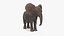 Baby Elephant Rigged for Cinema 4D